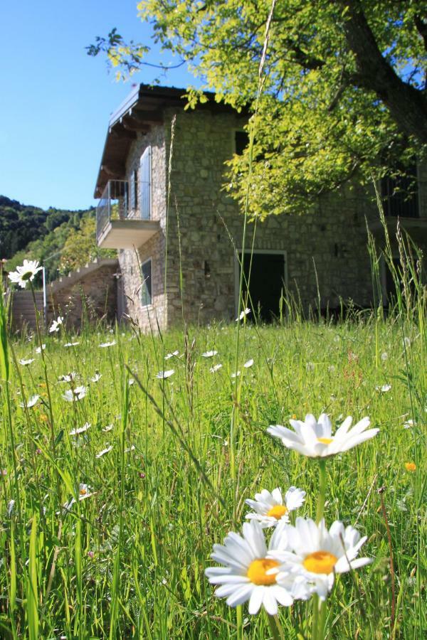 Ca Del Gari Villa Tremosine Exterior foto
